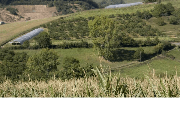 Garten- und Landschaftspflege