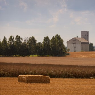 Sistemas agrícolas mistos